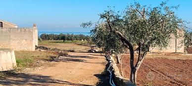 TERRENO e RUSTICO vista mare Polignano a.ff.ar.e