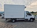 fiat-ducato-frigo-2019