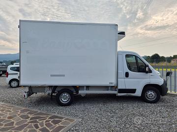 FIAT DUCATO FRIGO 2019 