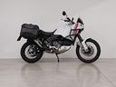ducati-desertx-2024-con-valige-e-barre-paramotore