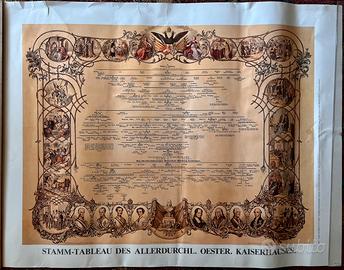 Albero genealogico della Casa Imperiale Austriaca
