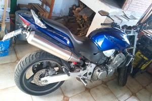 Honda hornet 
