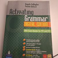 Activating grammar e digital edition +CD 