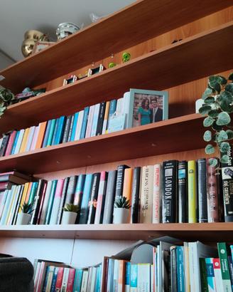 Libreria con letto matrimoniale a scomparsa
