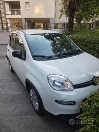 Fiat panda 1.0