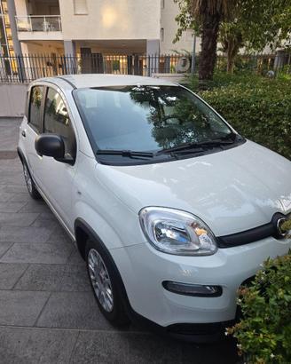 Fiat panda 1.0