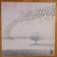 VINILE ORIGINALE GENESIS