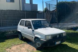 Fiat Panda young