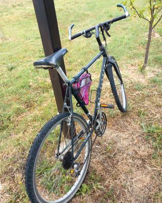 bicicletta MTB Gary Fisher