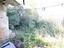 Immagine 16