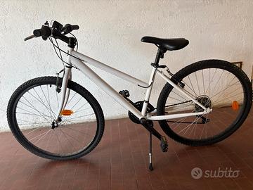 Bicicletta da ragazzo