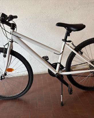 Bicicletta da ragazzo