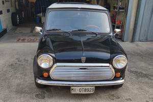 AUSTIN ROVER Mini - 1991