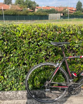 bici da corsa time