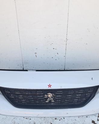 1632654780 PARAURTI ANTERIORE SUPERIORE C/GRIGLIA 