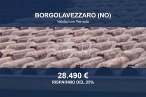 Immobile in asta di 98 m² con box auto a Borgolave