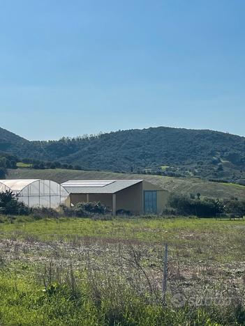 Azienda Agricola Sulcis