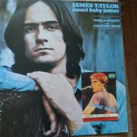 Disco Vinile James Taylor+biglietto concerto