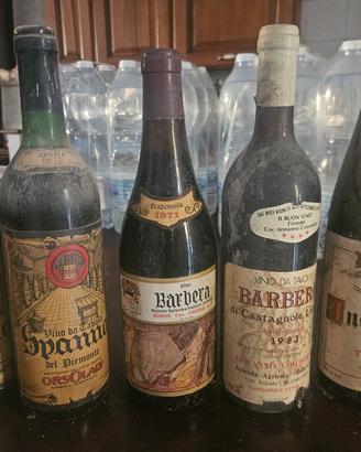 bottiglie di vino  