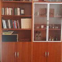 Libreria doppia i legno