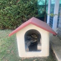 cuccia per cane di media taglia 