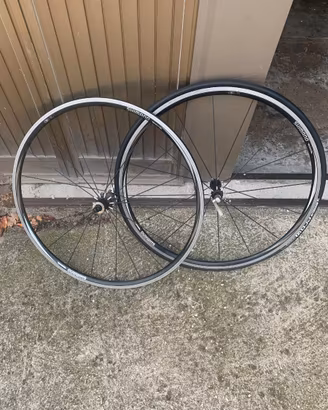 cerchi shimano WH-R550