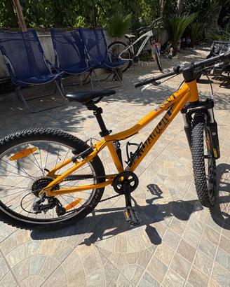 Bici Bergamont