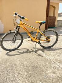 Mtb 24 lombardo Tropea