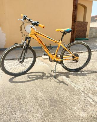 Mtb 24 lombardo Tropea