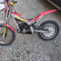 Beta 50 mini trial