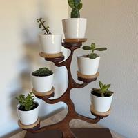 Composizione piante stile BONSAI (ST3)