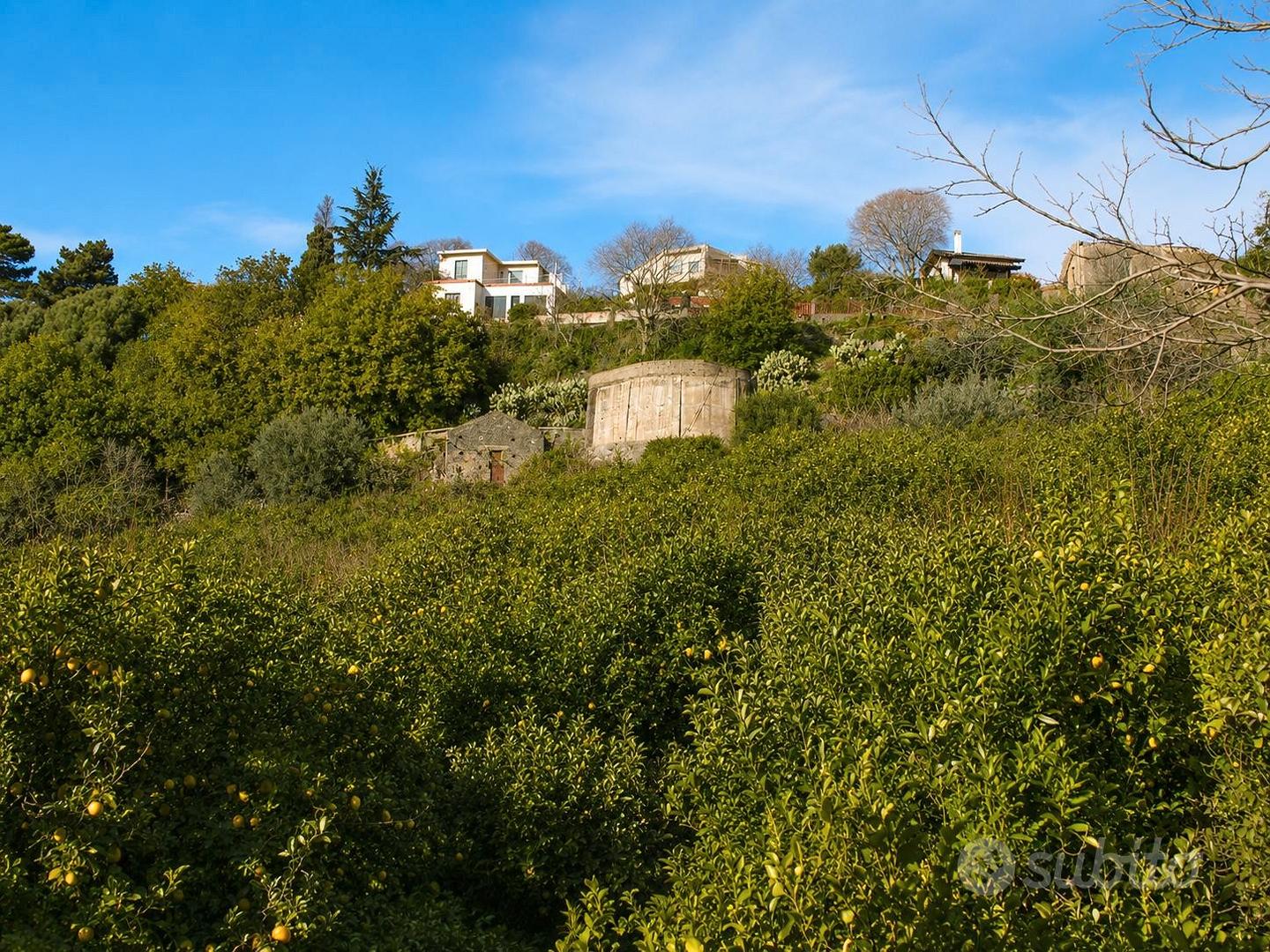 Asta - terreno panoramico (valverde) - Vista 2