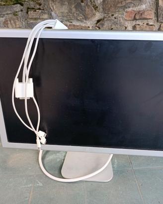 Monior Apple
