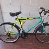 Bicicletta mountain bike d'epoca