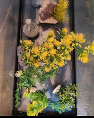 vasca per i pesci (Acquario)