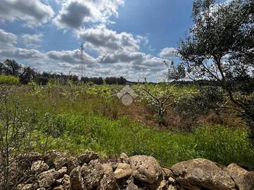 TER. AGRICOLO A BRINDISI