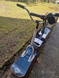 Snowscoot 