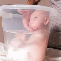 Vaschetta che riproduce l'ambiente uterino -Tummy