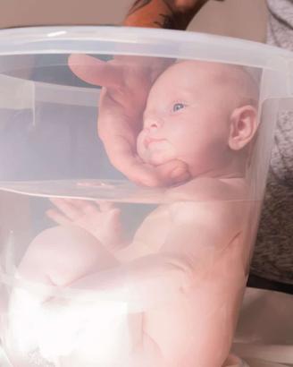 Vaschetta che riproduce l'ambiente uterino -Tummy
