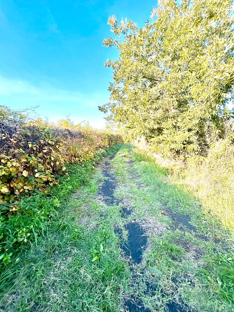 Terreno Agricolo a pochi passi dai Caselli - Vista 2