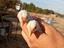 Immagine 1