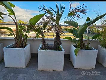vasi di cemento