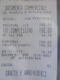 motosega professionale potatura 