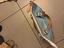 Immagine 3