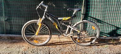 Mountain bike biammortizzata