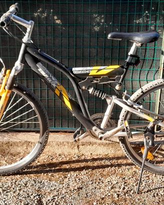 Mountain bike biammortizzata