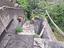 Immagine 25
