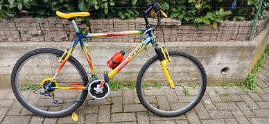 mountain bike da uomo 