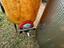 Immagine 17