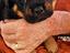 Immagine 2